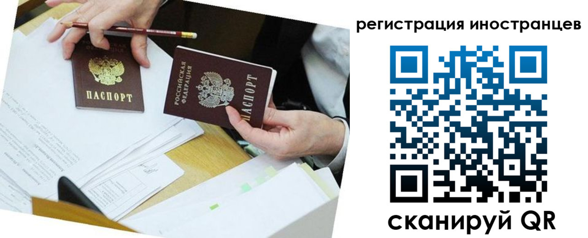 прописка ребенка в Ермолино